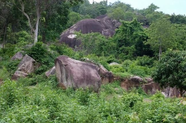 suối tiên vũng tàu suối tiên vũng tàu