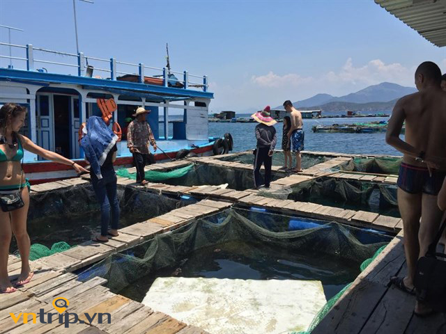 Ăn gì những món ăn không thể bỏ qua