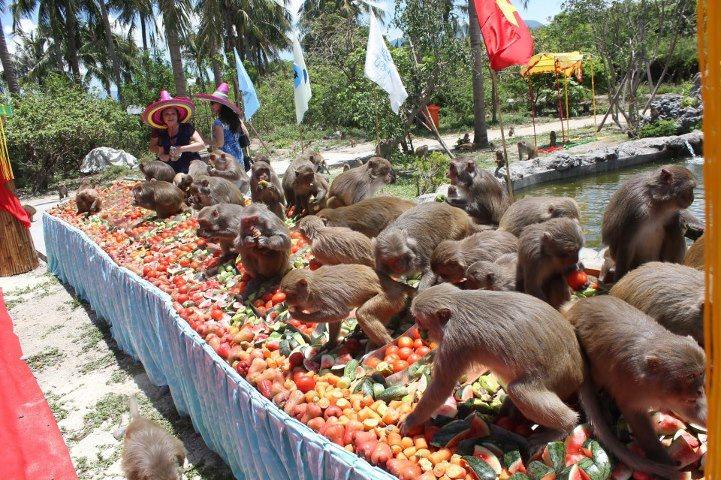 Kinh nghiệm phượt Nha Trang nhật ký du lịch bụi Nha Trang Các anh em của Hầu ca thỏa chí với những trái dâu chín mọn (Ảnh: ST).