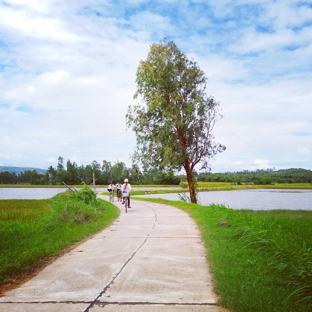 Cảnh quanh đầm Ô Loan