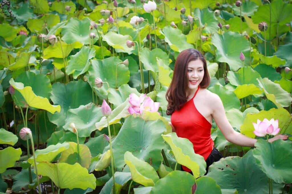 Thiếu nữ chụp ảnh bên đầm sen hồ Tây