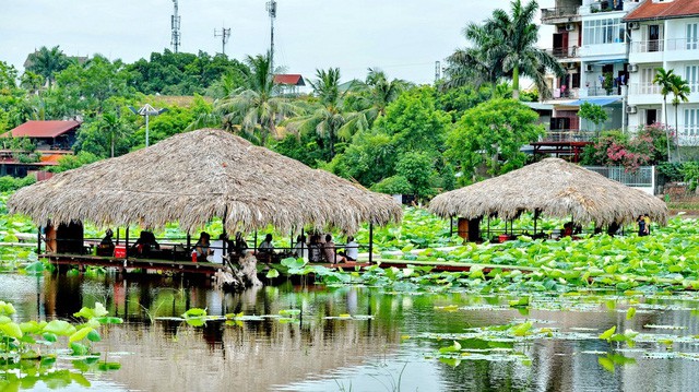Thung lũng hoa Hồ Tây mùa sen nở