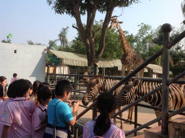 Chiêm ngưỡng các loại thú quý hiếm (Ảnh: ST)