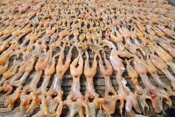 Đặc sản khô nhái (nguồn sưu tầm) Đặc sản khô nhái (nguồn sưu tầm)