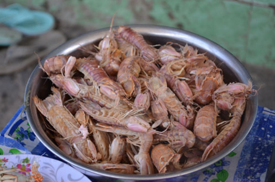 Bề Bề hấp Bề Bề hấp