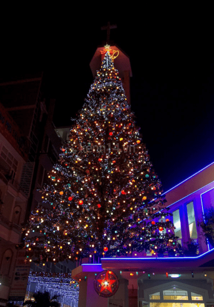 Cây thông Noel khổng lồ được đặt trên nóc nhà thờ An Nhơn Cây thông Noel khổng lồ được đặt trên nóc nhà thờ An Nhơn
