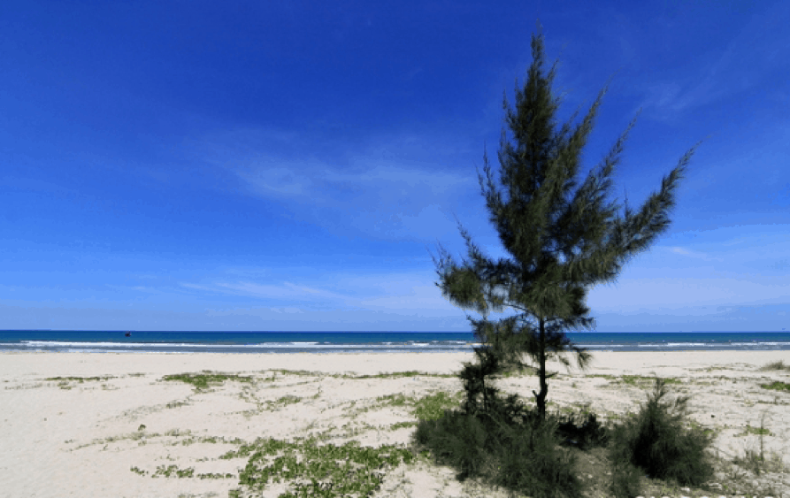 Du lịch Bãi biển Mỹ Khê Quảng Ngãi (Ảnh ST)