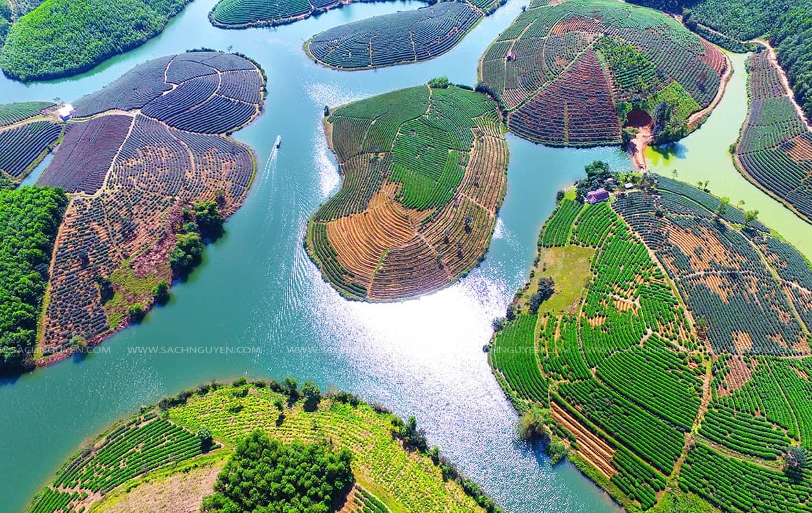 Kết quả hình ảnh cho Äá»i chè thanh chương nghá» an