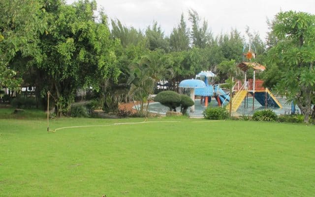 Không gian cây xanh không khí thoáng mát (Ảnh: ST) Không gian cây xanh không khí thoáng mát (Ảnh: ST)