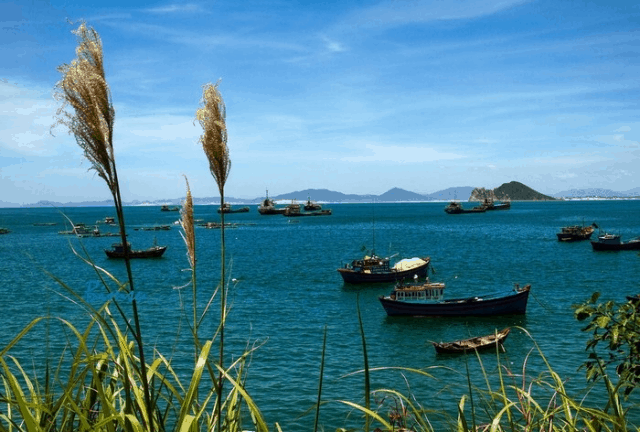 Bản đồ du lịch Phú Yên - Vũng Rô