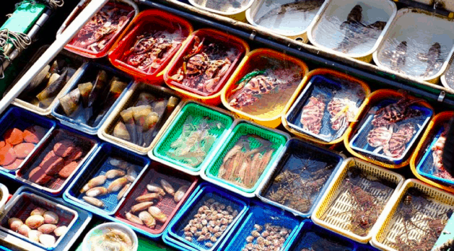 Các loại hải sản tươi sống ở chợ hải sản Đà Nẵng 