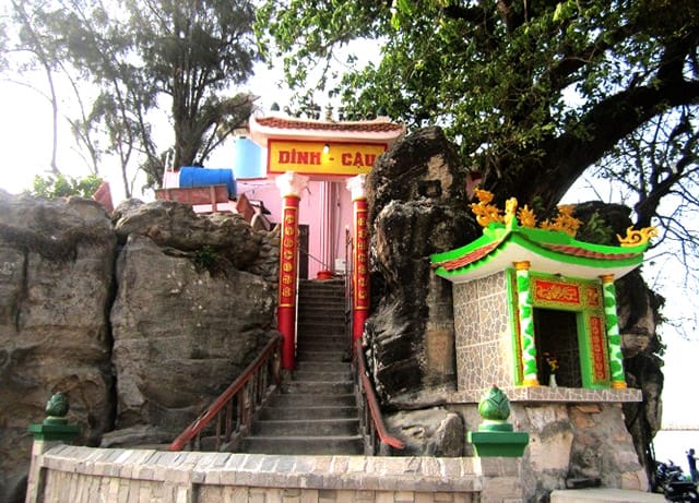 Cây Sộp cổ thụ tỏa bóng mát Cây Sộp cổ thụ tỏa bóng mát