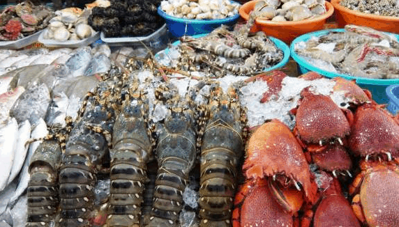 Chợ Xóm lưới - nơi mua hải sản lý tưởng cho chuyến du lịch Vũng Tàu 2 ngay 1 đêm (ảnh sưu tầm) Chợ Xóm lưới - nơi mua hải sản lý tưởng cho chuyến du lịch Vũng Tàu 2 ngay 1 đêm (ảnh sưu tầm)