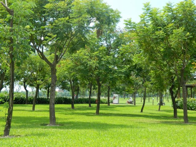 Địa điểm vui chơi ở Hà Nội - Công viên 01