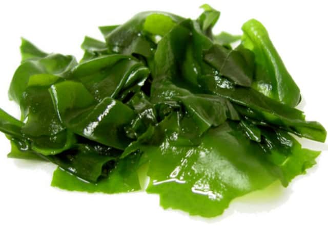 Bánh đúc rau câu - đặc sản Cửa Tùng Bánh đúc rau câu - đặc sản Cửa Tùng
