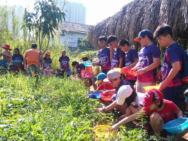 Nhân viên đang hướng dẫn các em cách làm nông Nhân viên đang hướng dẫn các em cách làm nông