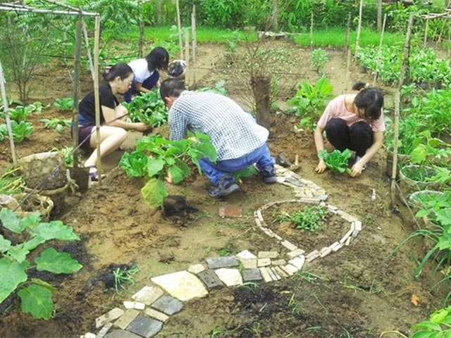 Du khách đang thực hành trồng cây Du khách đang thực hành trồng cây