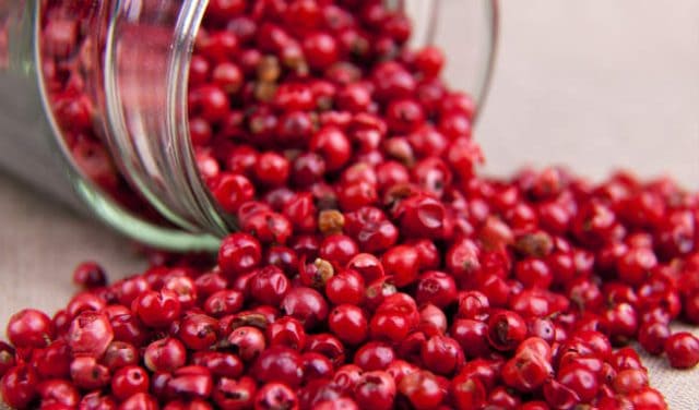 Tiêu đỏ không quá kén khách hàng Tiêu đỏ không quá kén khách hàng
