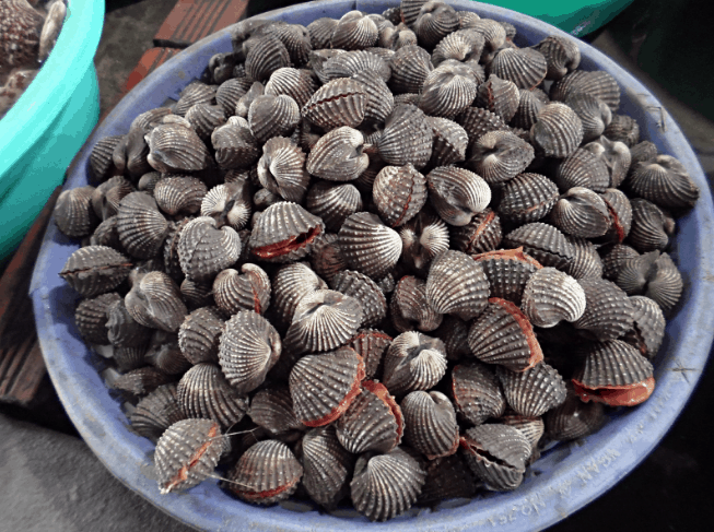 Loại nào cũng tươi ngon (ảnh sưu tầm) du lịch cần giờ 1 ngày