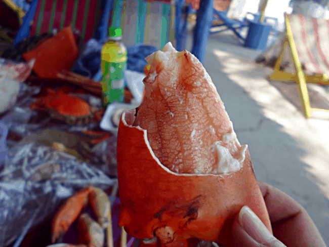 Món cua luộc rất ngon (ảnh sưu tầm) du lịch cần giờ 1 ngày