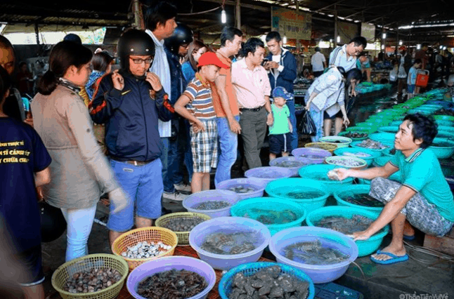 Nhìn hải sản hoa cả mắt luôn (ảnh sưu tầm) du lịch cần giờ 1 ngày