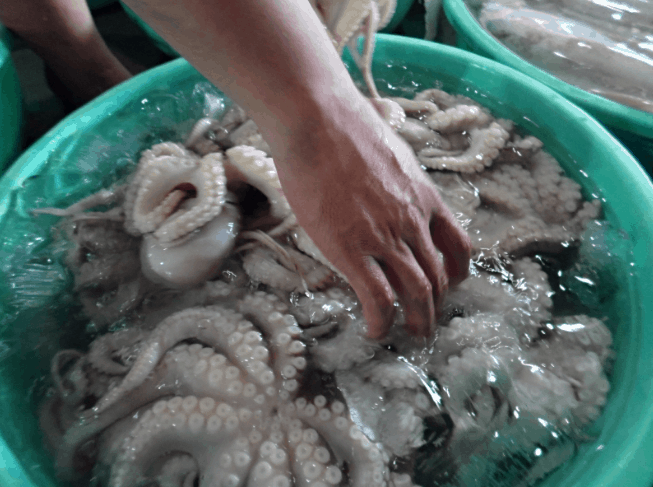 Hải sản là lựa chọn không thể thiếu trong chuyến du lịch Cần Giờ 1 ngày (ảnh sưu tầm) Hải sản là lựa chọn không thể thiếu trong chuyến du lịch Cần Giờ 1 ngày (ảnh sưu tầm)