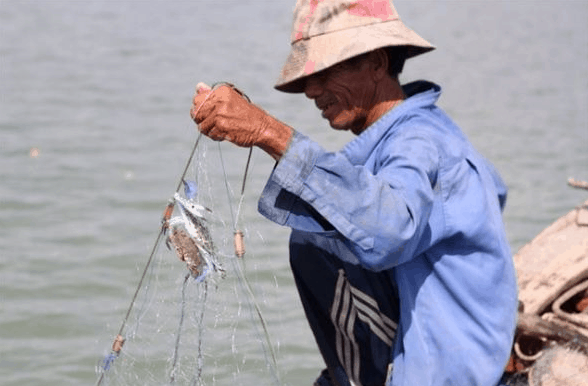Cảnh đánh bắt cá của người dân vùng đảo Thạnh An Cảnh đánh bắt cá của người dân vùng đảo Thạnh An