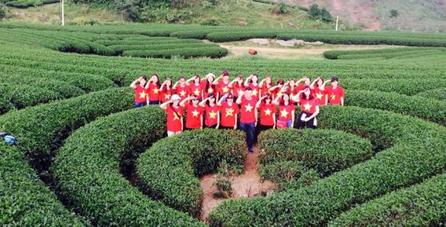 Đồi chè trái tim Tân Lập
