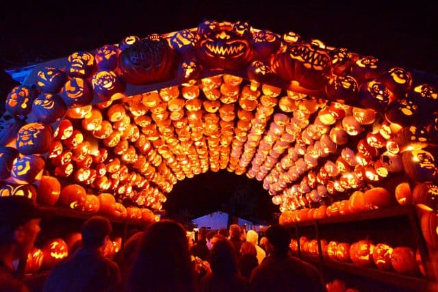 Bí đỏ được xem là biểu tượng của lễ hội Halloween Bí đỏ được xem là biểu tượng của lễ hội Halloween