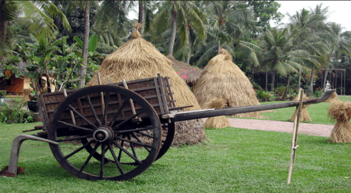 Khung cảnh vùng quê yên tĩnh tại Khu du lịch Bình Quới Khung cảnh vùng quê yên tĩnh tại Khu du lịch Bình Quới