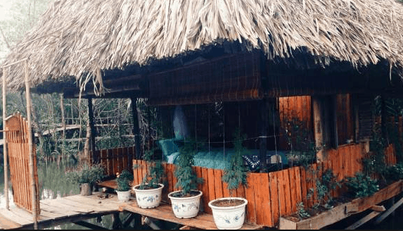 Khung cảnh yên tĩnh tại Springfield cottage Khung cảnh yên tĩnh tại Springfield cottage
