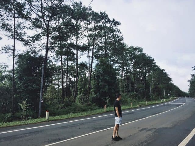 "Sống ảo" Rừng thông Măng Đen (Ảnh sưu tầm)