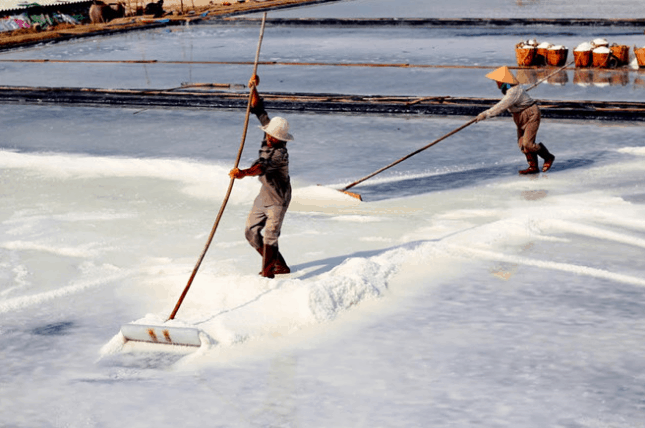 Khu du lịch Cần Giờ ở đâu? Đến đảo Thiềng Liềng nhìn cánh đồng muối (sưu tầm) Khu du lịch Cần Giờ ở đâu? Đến đảo Thiềng Liềng nhìn cánh đồng muối (sưu tầm)