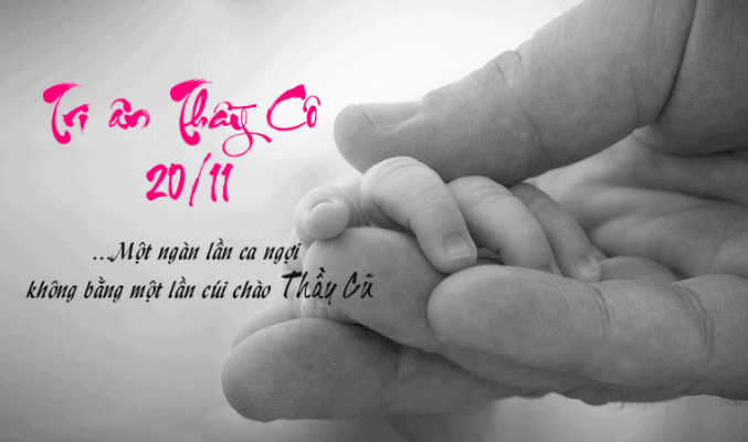 20-11, ngày tri ân các thầy cô 20-11, ngày tri ân các thầy cô