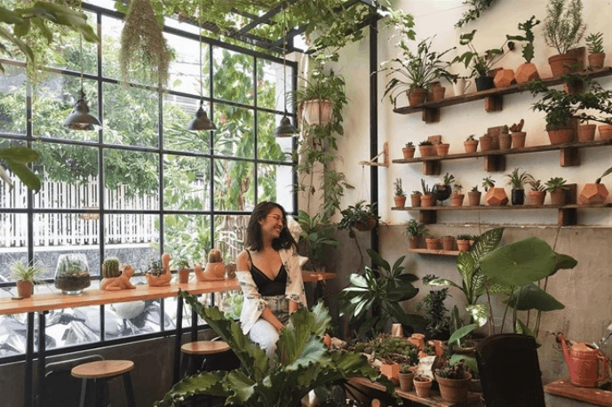 Nhiều cây cối cho những bức ảnh cực đẹp (sưu tầm) quán cafe đẹp ở vũng tàu