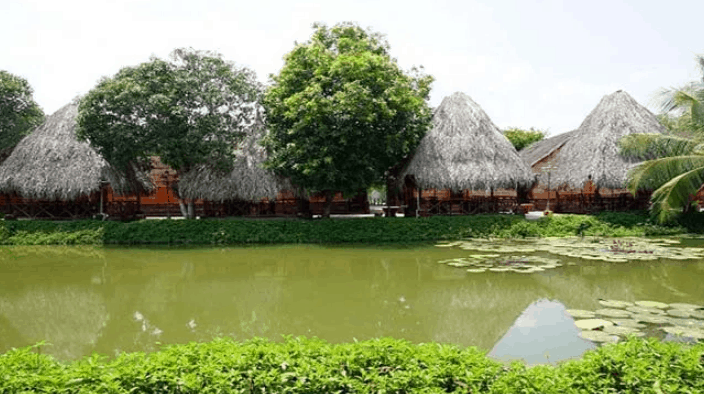 Bảo Gia Trang Viên Homestay