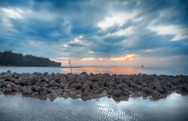 Hình ảnh biển Cần Giờ Hình ảnh biển Cần Giờ