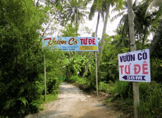 Vườn cò Tư Đê - Thủ Đức Vườn cò Tư Đê - Thủ Đức