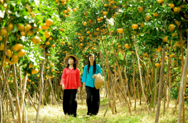 Tham quan miệt vườn Tham quan miệt vườn