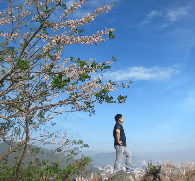 ngắm hoa anh đào ở vũng tàu