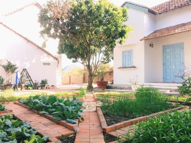 Khuôn viên thoáng mát tại Vietnam Phuot Homestay (Ảnh ST)