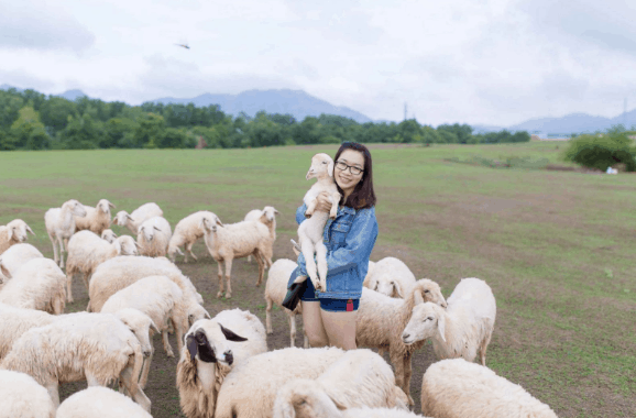 cung đường phượt sài gòn vũng tàu cung đường phượt sài gòn vũng tàu