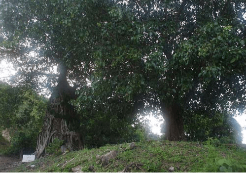 KhÃ´ng gian xung quanh chÃ¹a