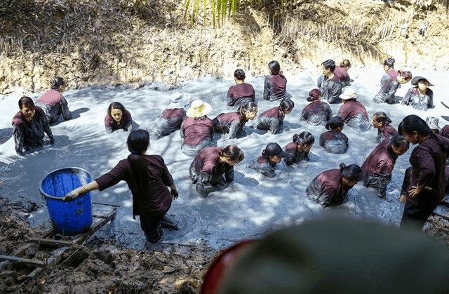 Hoạt động bắt cá dưới mương thú vị