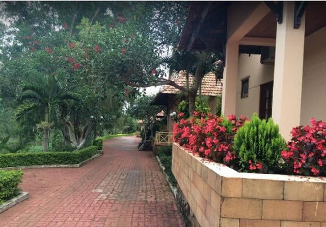 Khuôn viên đầy hoa tươi và cây xanh (Ảnh ST)