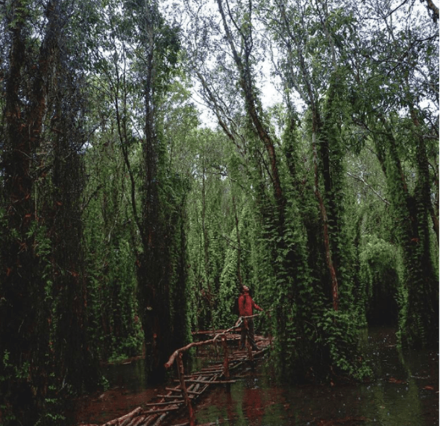 hồ tràm hồ tràm