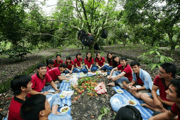 vườn cây trái gần sài gòn vườn cây trái gần sài gòn