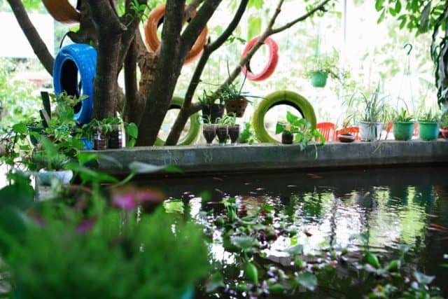 Green Field Homestay (Ảnh: ST)