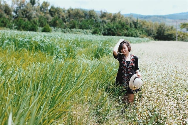 Những bức ảnh siêu "deep" ở Dalat Milk Farm (Nguồn: catgotmilk)