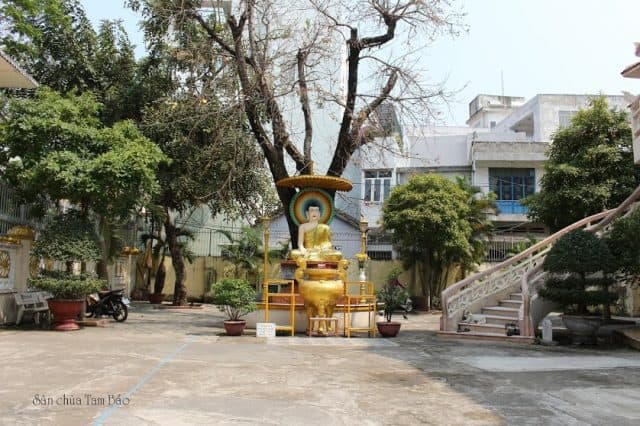 Khoảng sân trước rộng rãi của Chùa Tam Bảo Đà Nẵng (Ảnh ST)